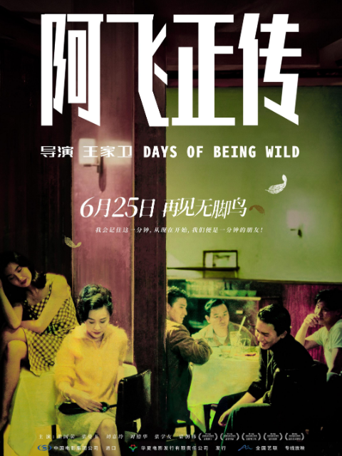 阿飞正传封面图