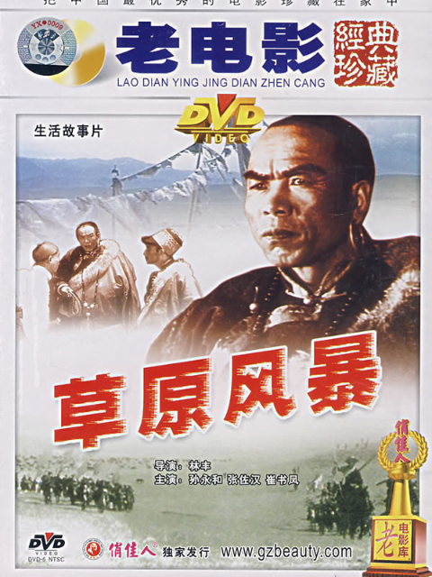 草原风暴封面图