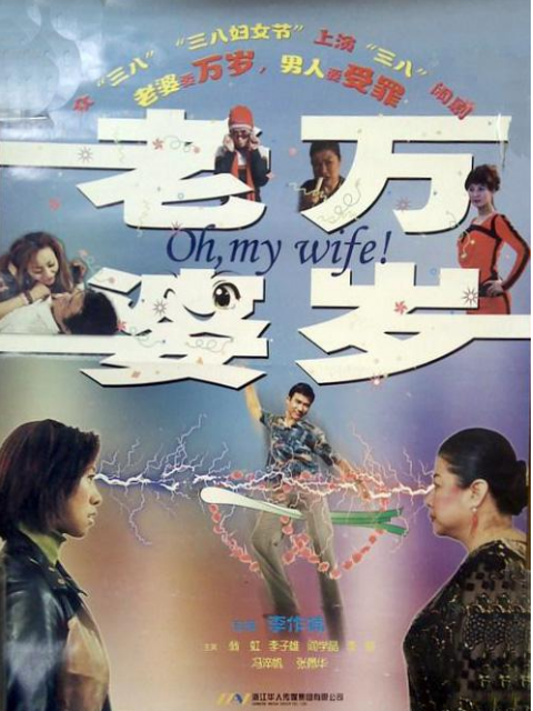 老婆万岁封面图