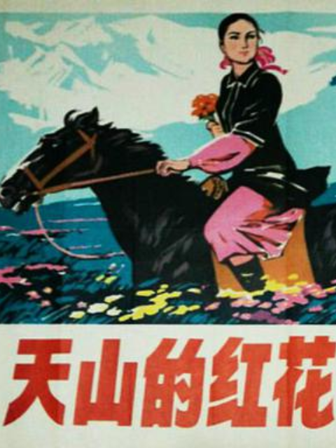 天山的红花封面图