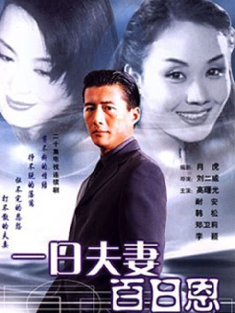 一日夫妻百日恩封面图