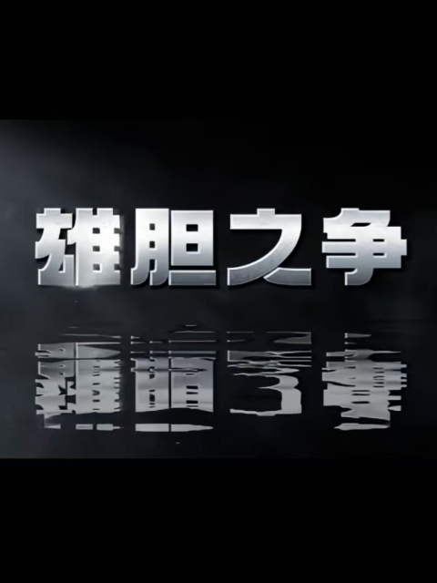 雄胆之争封面图