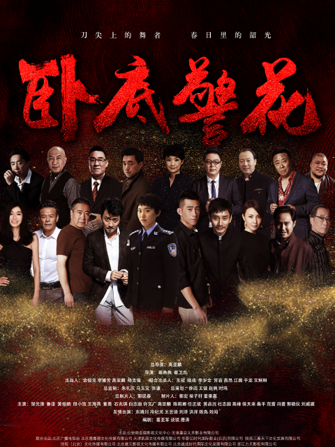 卧底警花封面图