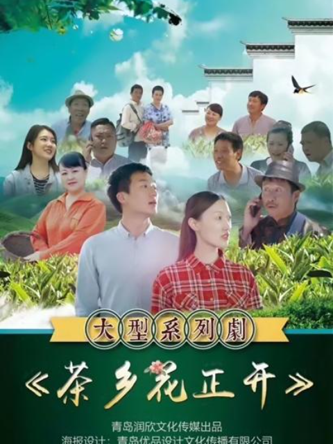 茶乡花正开封面图