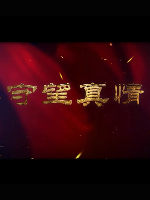 守望真情封面图