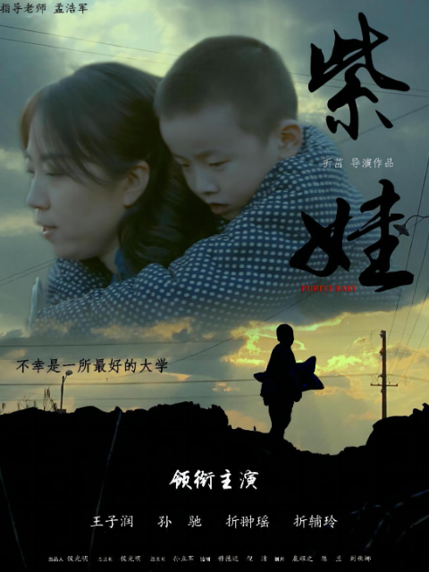紫娃封面图