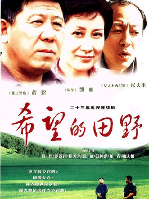 希望的田野封面图
