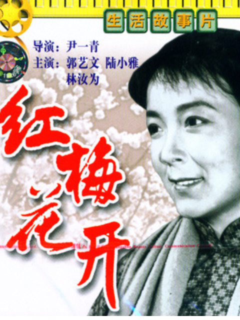 红梅花开封面图