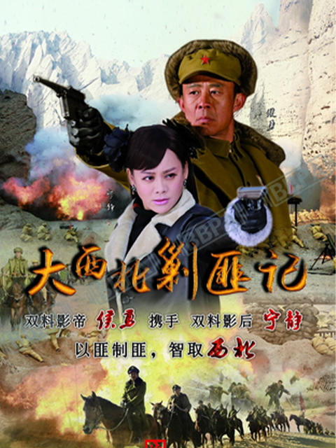 大西北剿匪记封面图