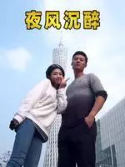 夜风沉醉封面图