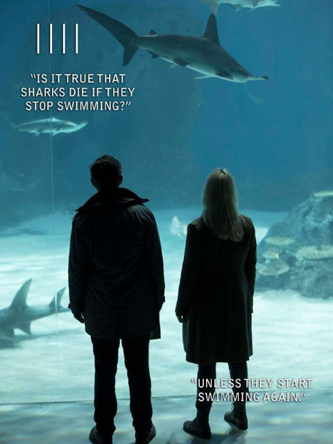 登岛 第四季封面图