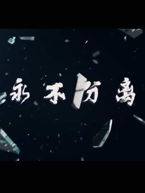 永不分离封面图