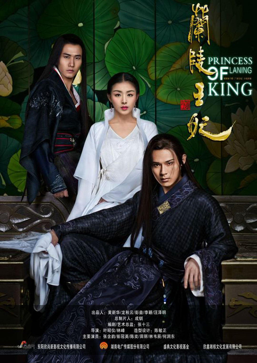 兰陵王妃 DVD版封面图