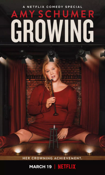 艾米:舒默:长大当妈封面图