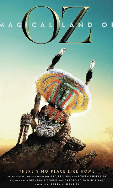 绿野仙澳封面图