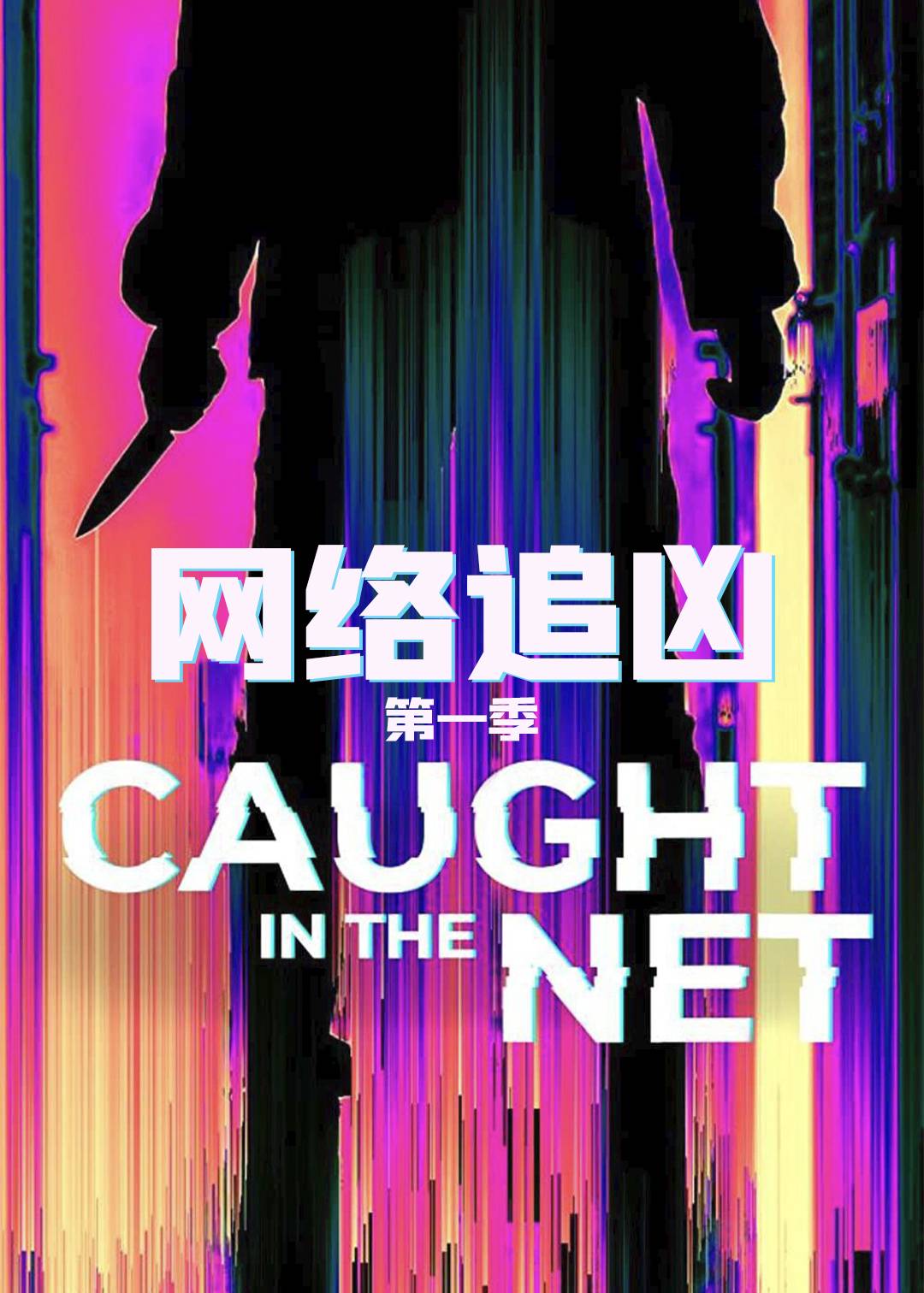 网络追凶封面图