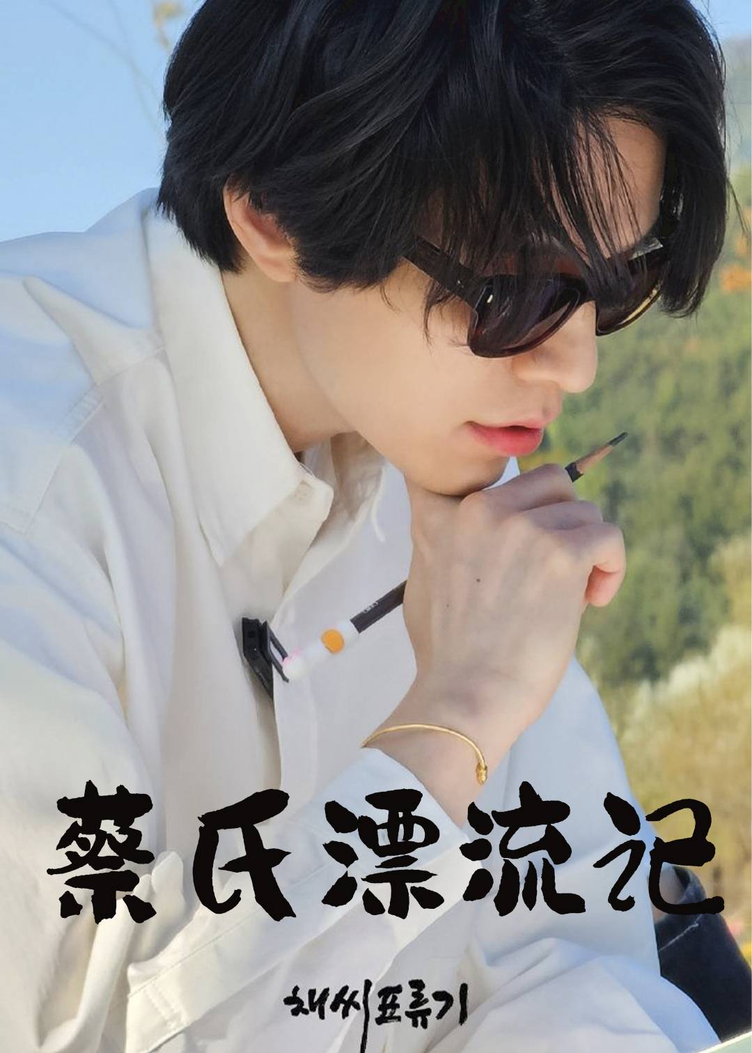 蔡氏漂流记封面图