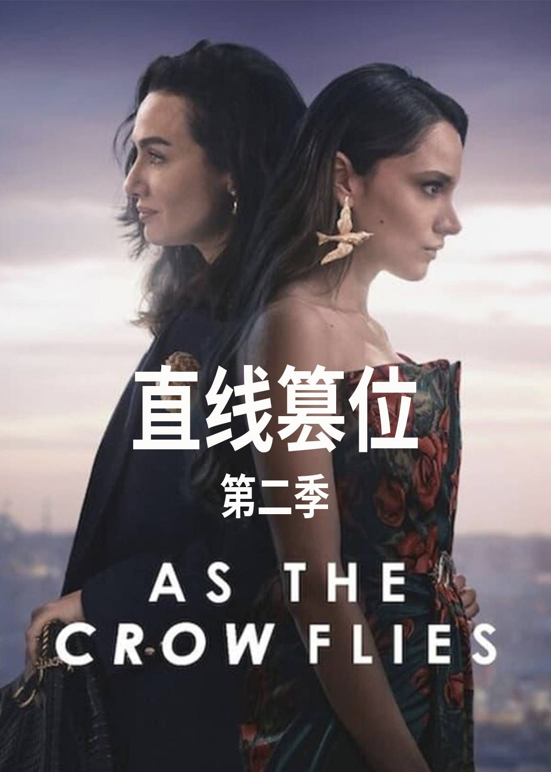 直线篡位 第二季封面图