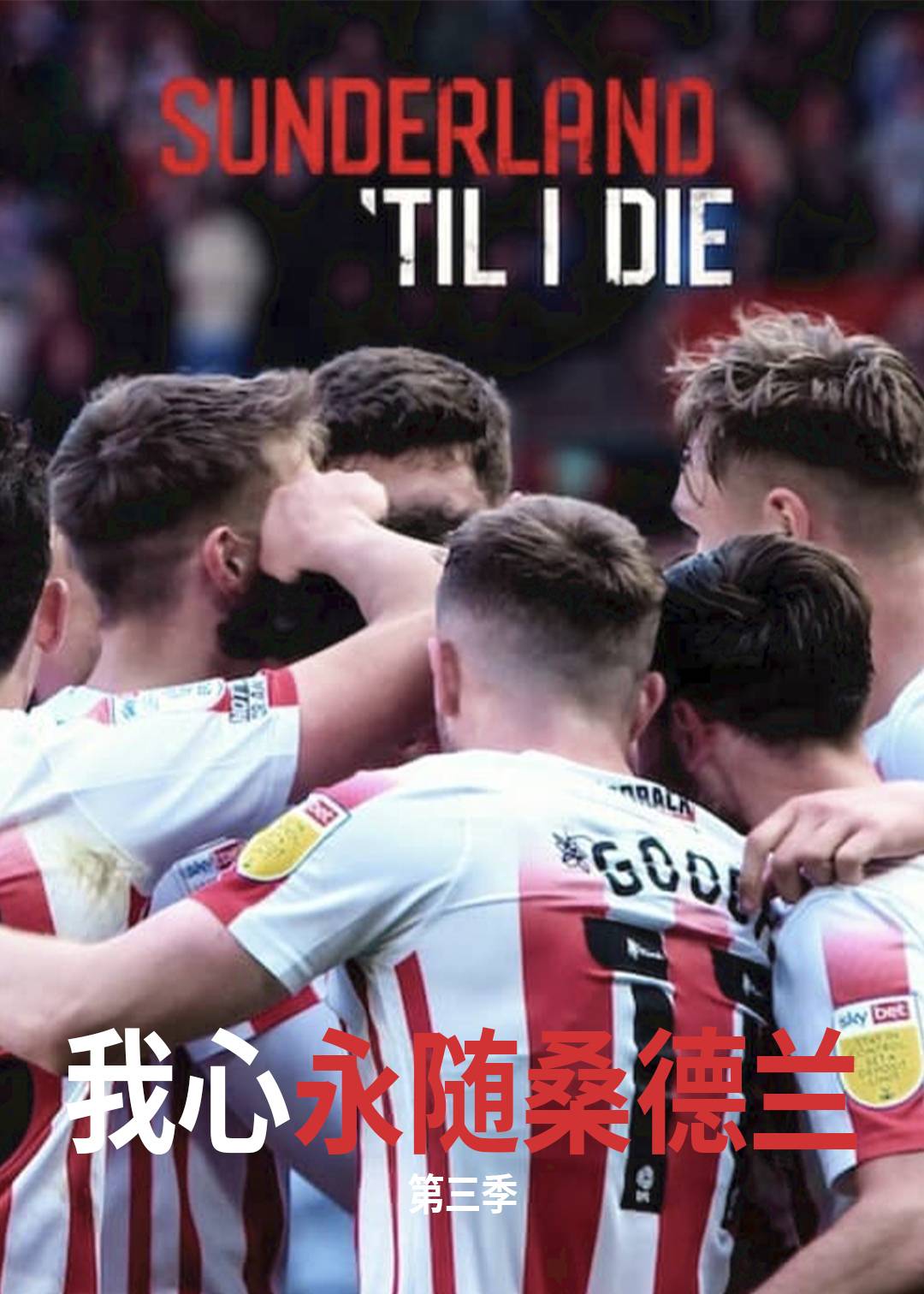 我心永随桑德兰 第三季封面图