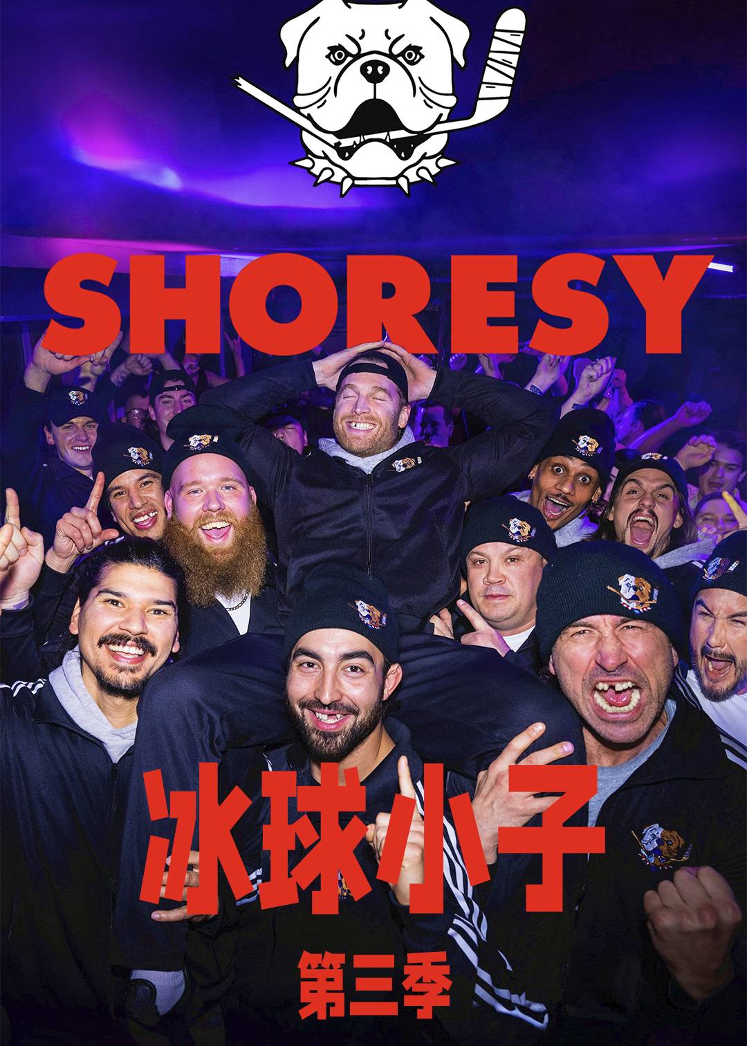 冰球小子 第三季封面图