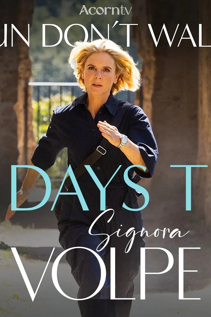 狐狸女士 第二季封面图