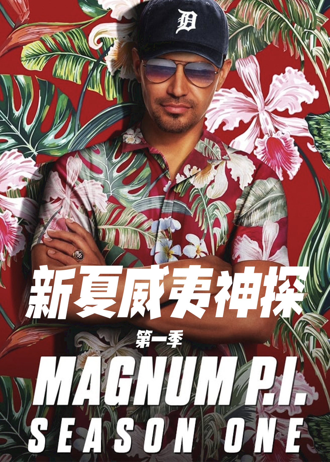 新夏威夷神探封面图