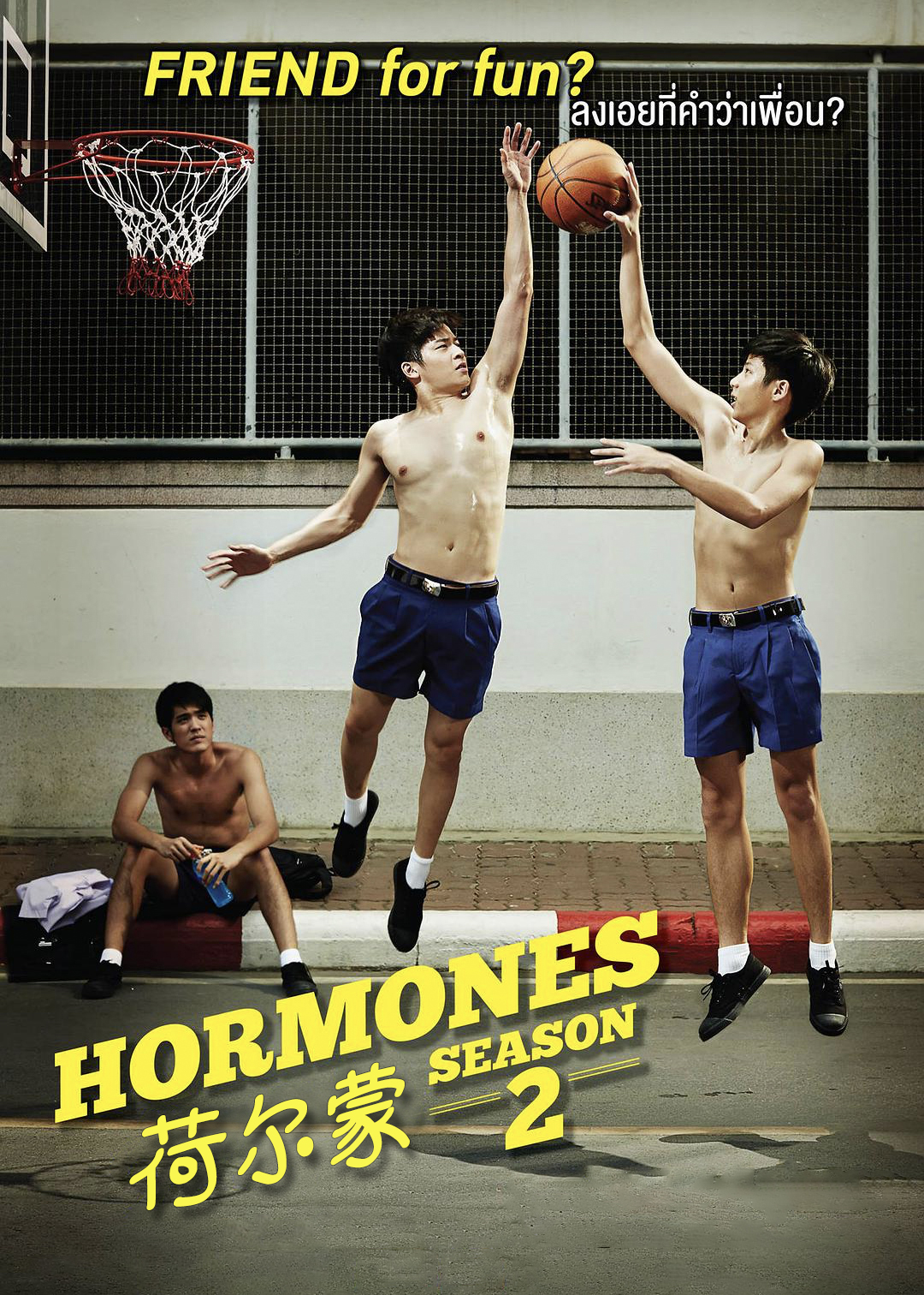 荷尔蒙 第二季封面图