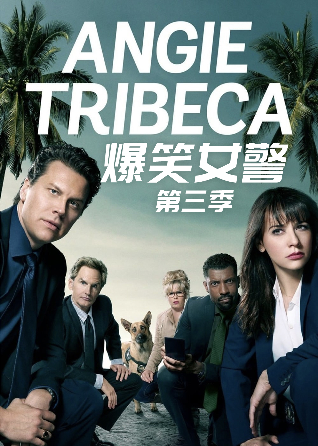 爆笑女警 第三季封面图