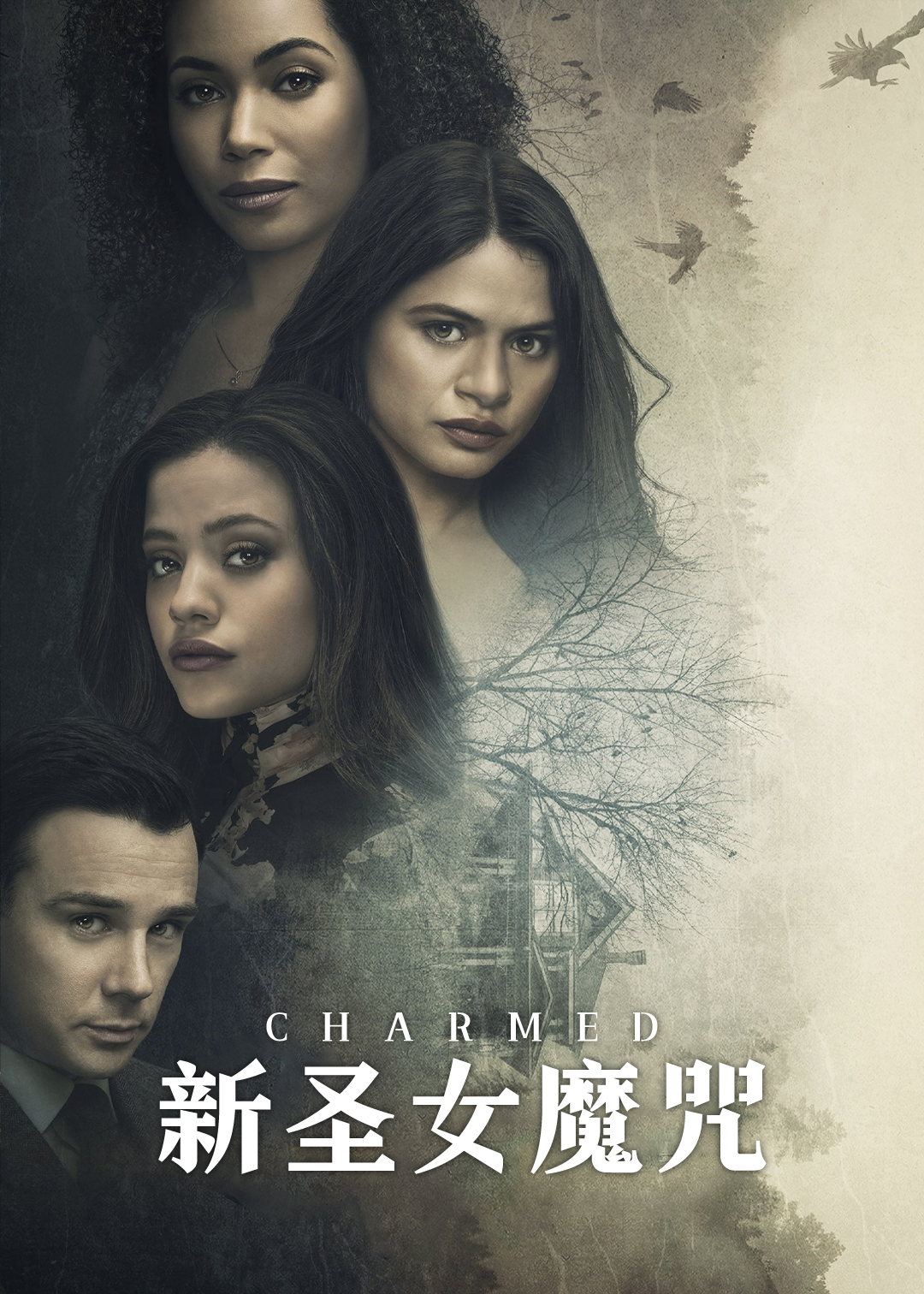 新圣女魔咒 第二季封面图