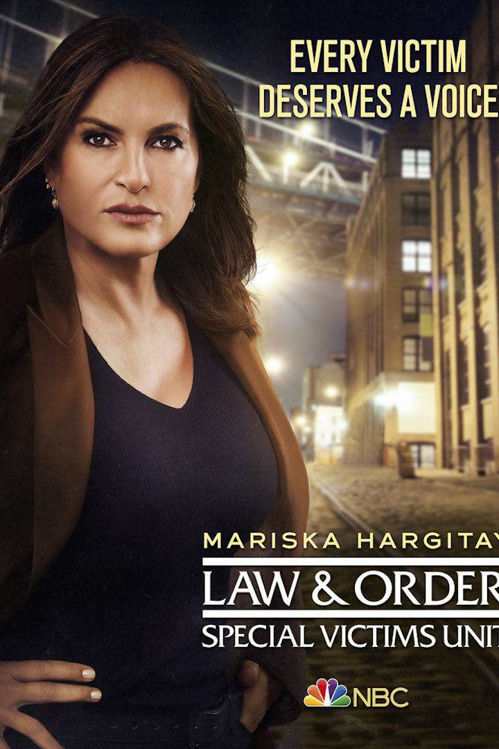 法律与秩序：特殊受害者 第二十二季封面图