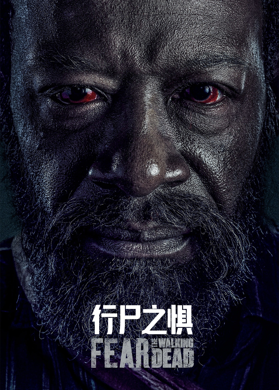 行尸之惧 第六季封面图