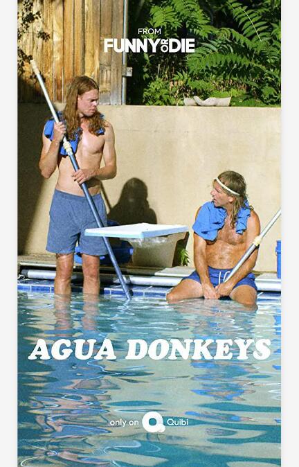 水驴清洁公司封面图