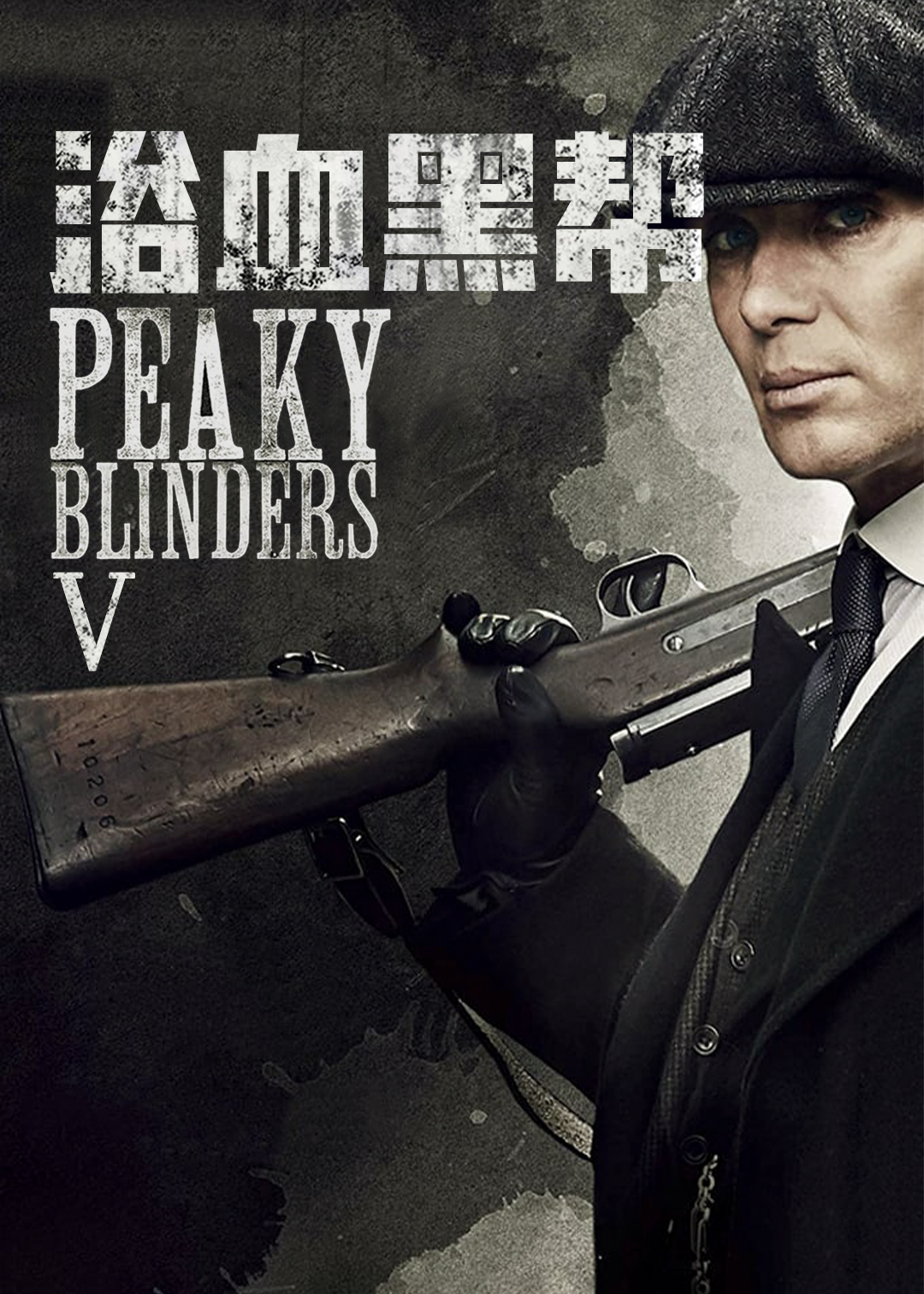 浴血黑帮  第五季封面图