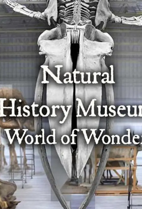 英国自然历史博物馆:神奇世界封面图