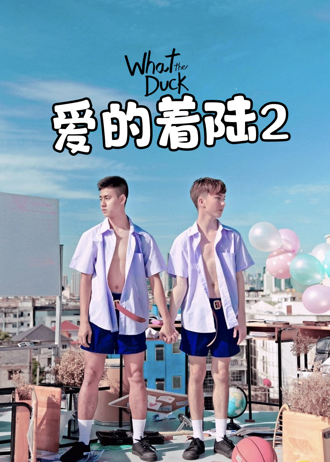 爱的着陆 第二季封面图