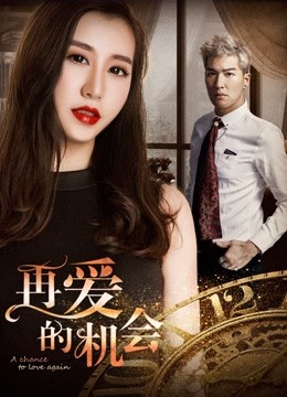 再爱的机会封面图