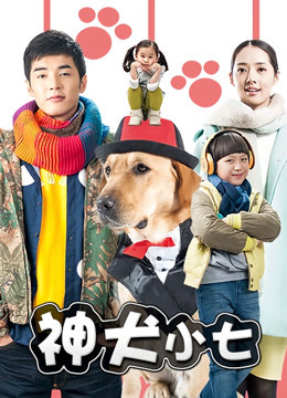 神犬小七封面图