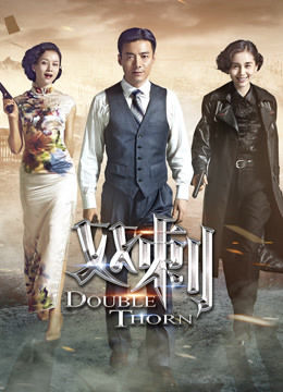 双刺 DVD版封面图