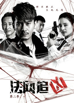 法网追凶 第二季封面图