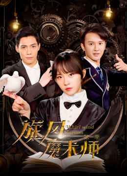 旋风魔术师封面图
