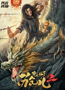 降龙神掌苏乞儿2封面图