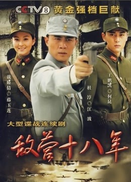 敌营十八年第一部封面图