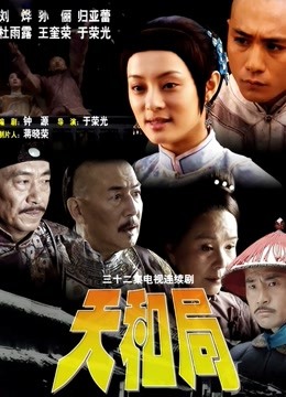 天和局封面图