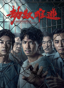 劫数难逃粤语封面图