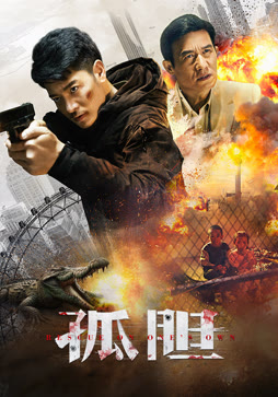 孤胆封面图