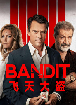 飞天大盗封面图