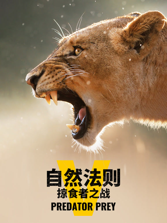 自然法则:掠食者之战封面图