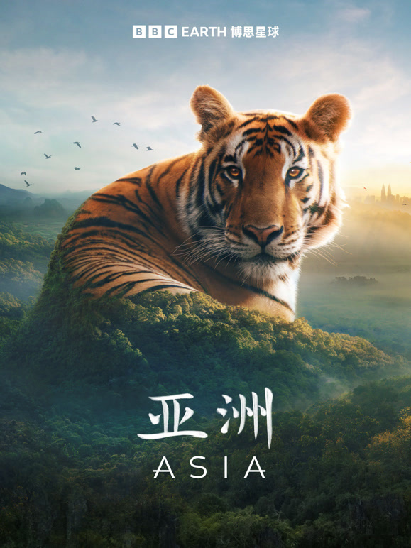 亚洲 版封面图