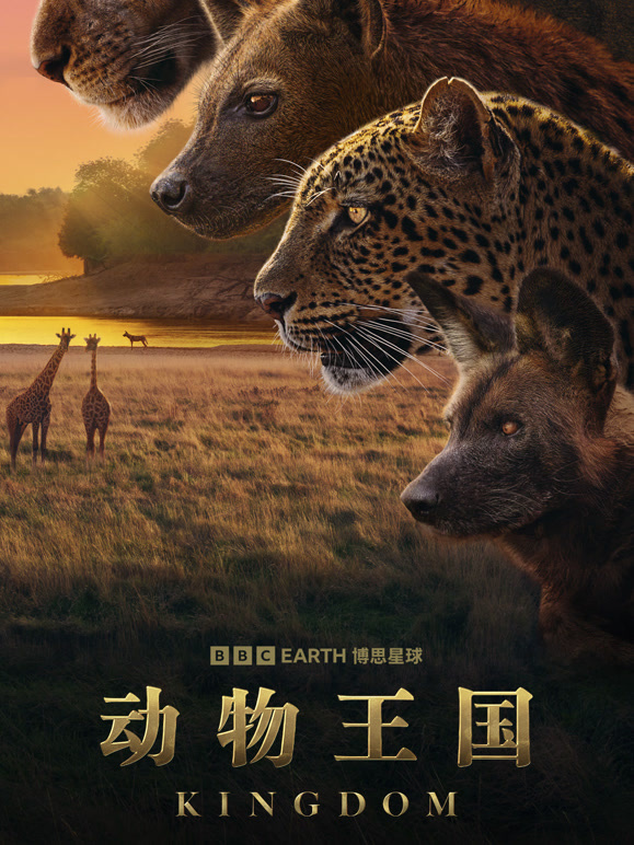 动物王国封面图