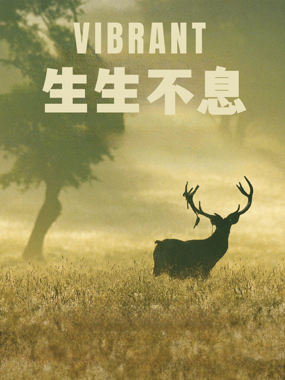 生生不息封面图